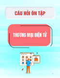 Câu hỏi ôn tập môn Thương mại điện tử (16 trang)